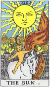 태양 카드 가로폭 103